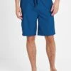 Tog 24 Blue Payne Mens Board Shorts