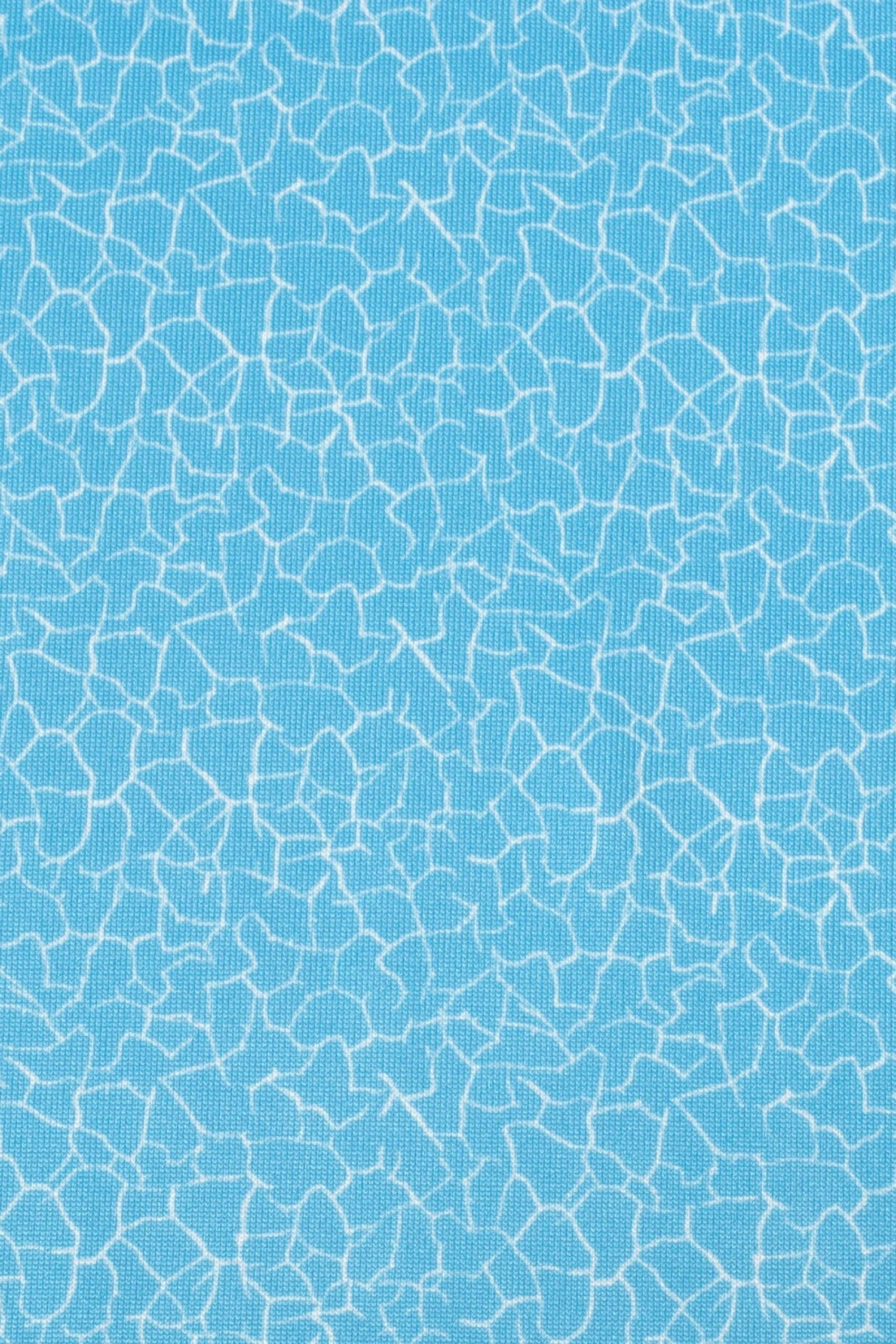 Calvin Klein Golf Blue Crackle Sleeveless Polo Shirt 9 Calvin Klein Golf Blue Crackle Sleeveless Polo Shirt - Imagen 9