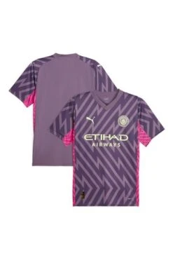 Puma Purple Manchester City Goalkeeper Shirt 5 Puma Purple Manchester City Goalkeeper Shirt -Tienda Barata Deporte N04161