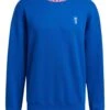 Adidas Blue Juventus Lifestyler Crew Sweater